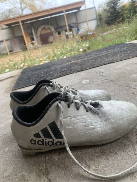 Сороконожки адидас