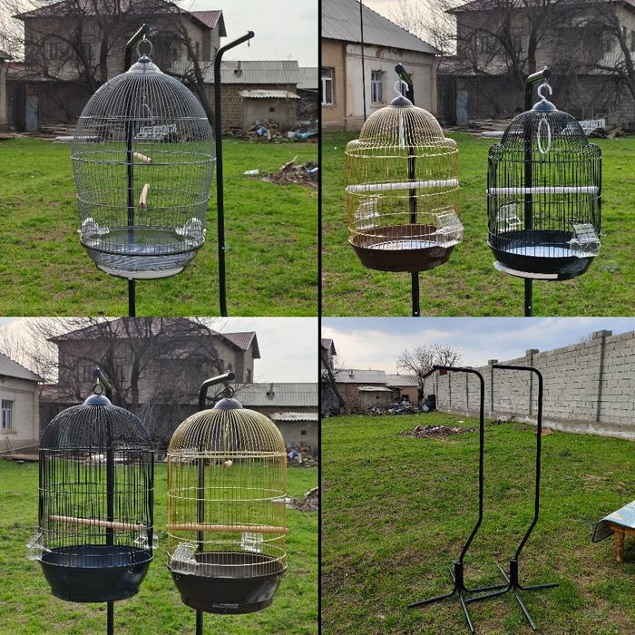 Попугай и клетки