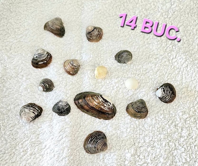ACVARIU 12 litri + accesorii