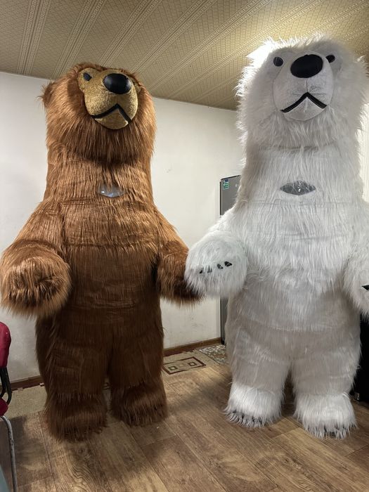 Kotta ayiqlar Sotilad