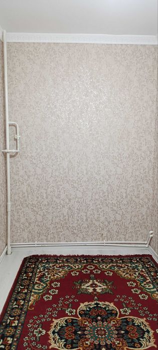 Кора-камиш 2/1, 2 хона