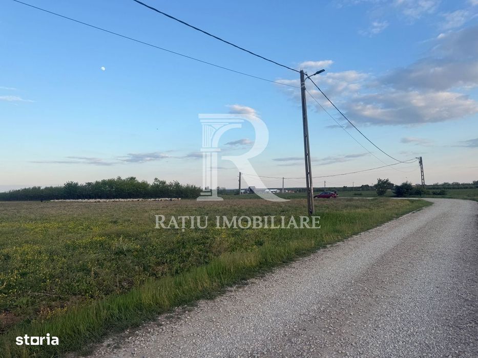 Teren extravilan | Păușa | Bihor