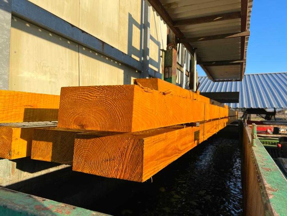 Servicii impregnare/tratare lemn - prin imersie in autoclava