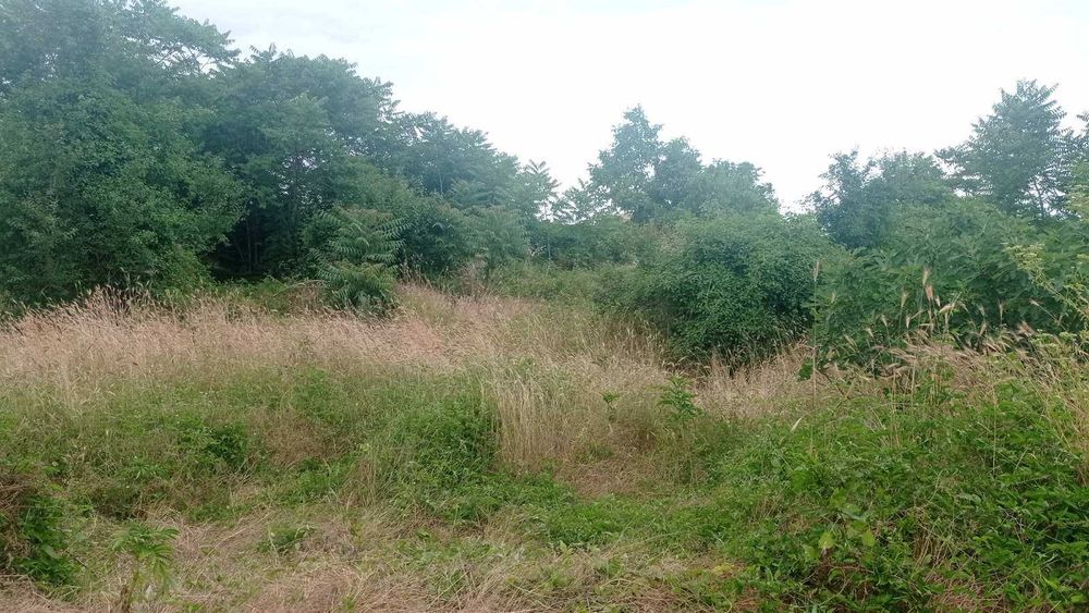 Парцел в село Марково, Шумен