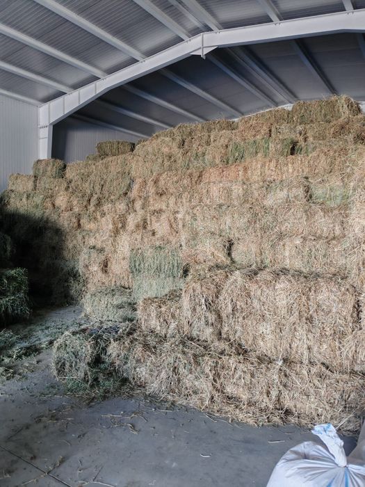 Vând Baloți de lucerna