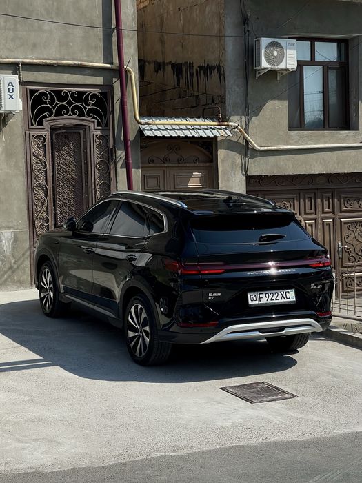 BVD chempion 605 tali toza