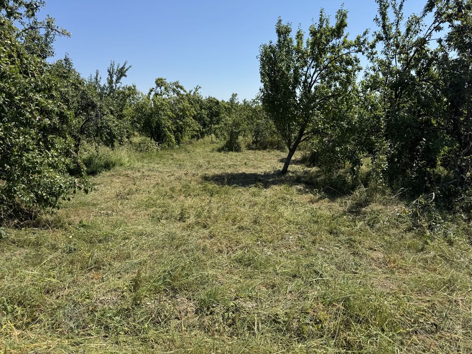 Teren intravilan în Cocosesti Prahova
