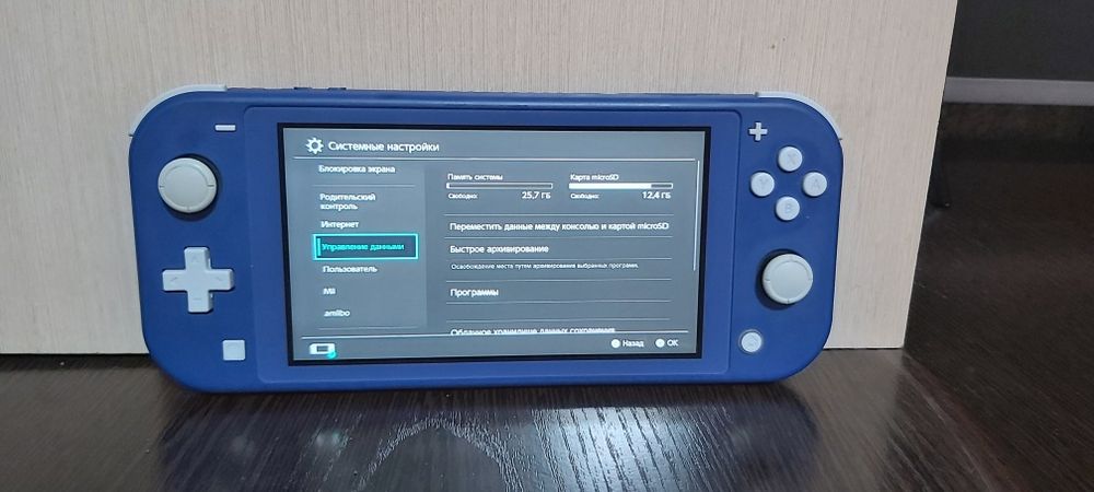 Nintendo switch lite