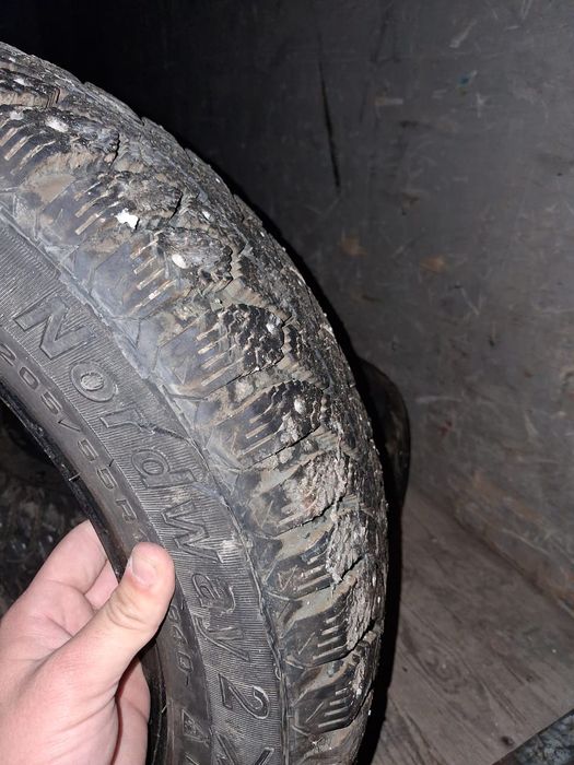 Шина жаксы куйде тур