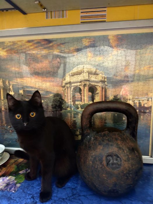 Продам гирю 24 кг..