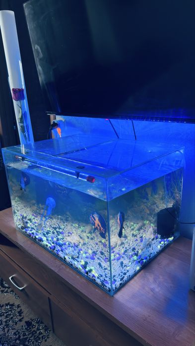 Аквариум 160 литров