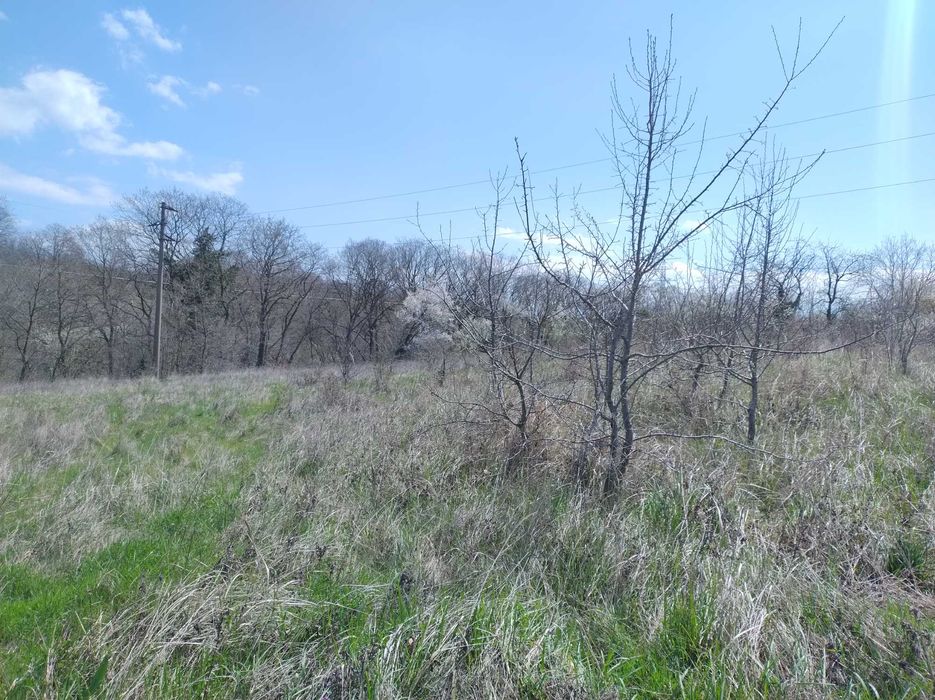 Без комисиона парцел 3.6 дка с ПУП