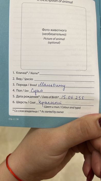 Продается мальтипу