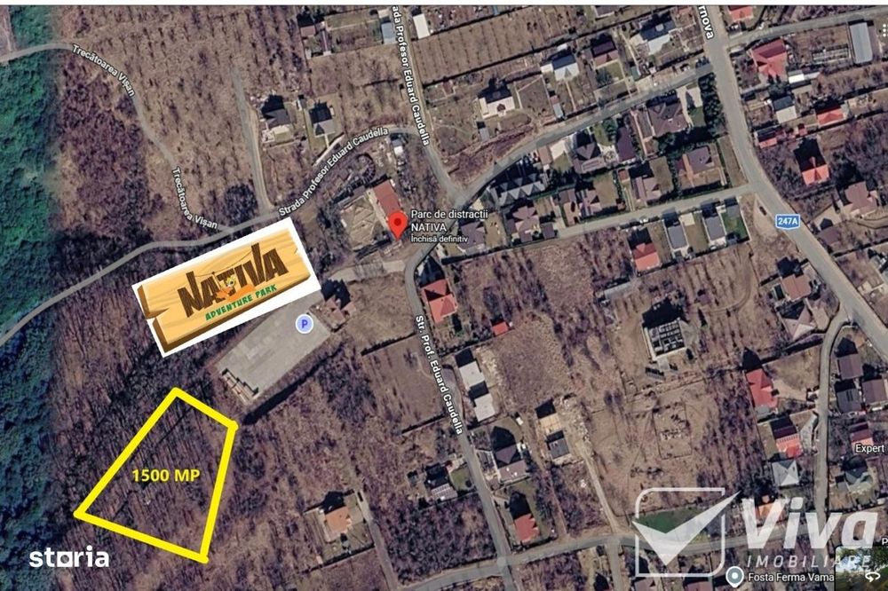 Teren INTRAVILAN cu Pădure-Bucium NATIVA Parc-1500 mp+proiect de casă!