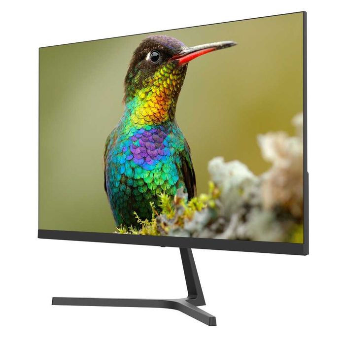 Монитор SANC 2453 -80hz