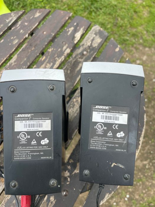 Boxe bose companion 2