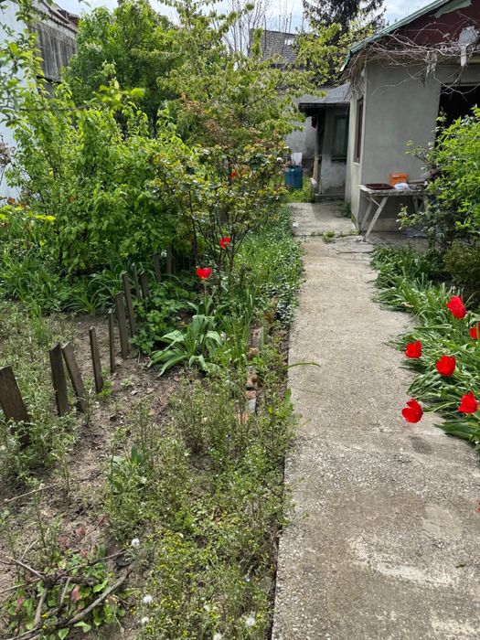 Teren de vânzare Băneasa – Dobrogeanu Gherea / Intrarea Ruginita