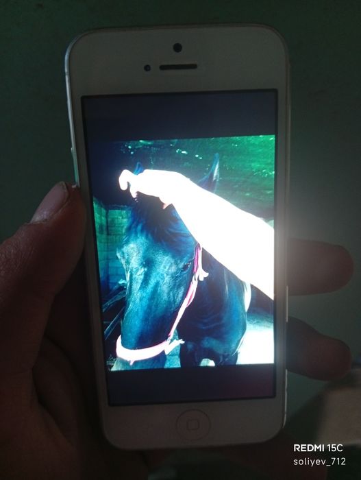 Iphone 5 ideal holda