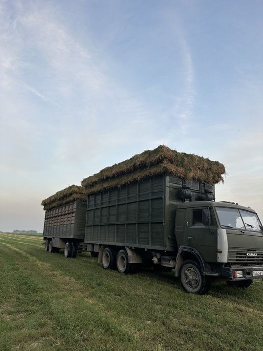Таза жоңышқалар бар