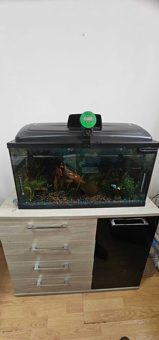 ACVARIU Independent AQUAEL 120L + comoda
