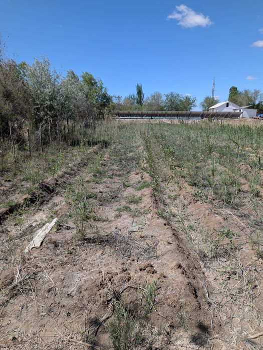 Дача сатылады манзил Шагал копир ориентир Орнек