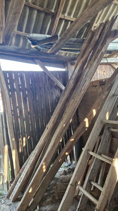 Grinzi stejar vechi peste 50 ani