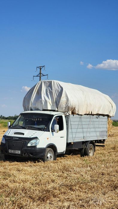 Gazel sotiladi mator xolati alo