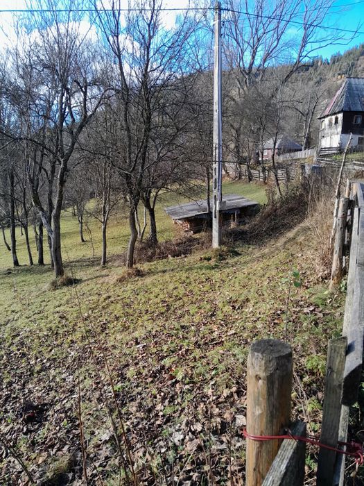 Teren cabana intravilan Albac 1400 mp CF panoramic