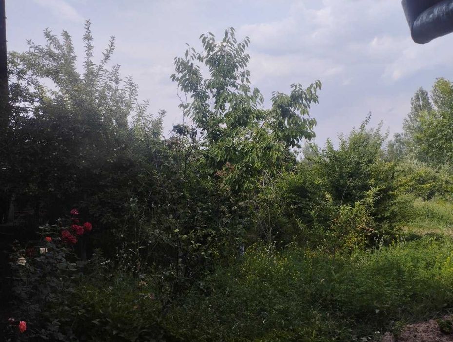 Chirchiq daryosi bo'yidagi uy va choyxona sotiladi!