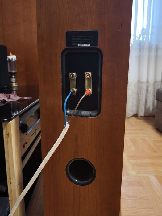 Акустическая пара CAV