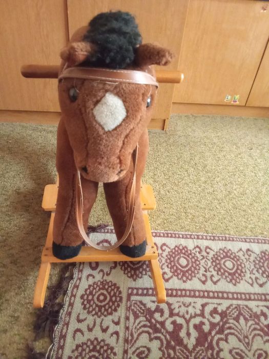 Люлеещо се конче