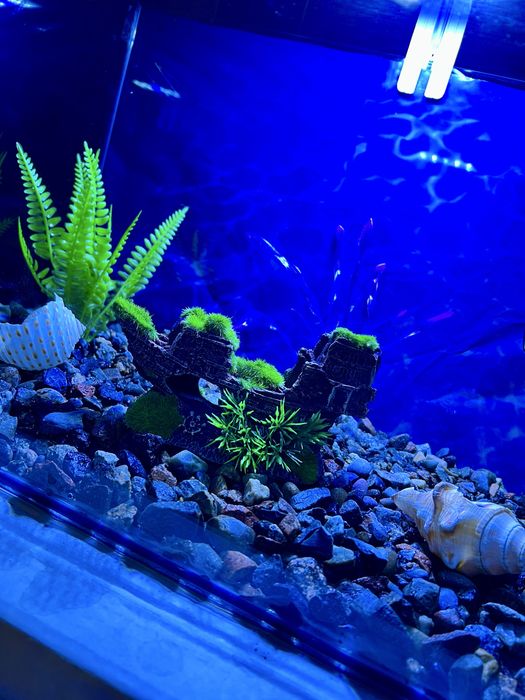 Аквариум 95 литров в комплекте с оборудованием