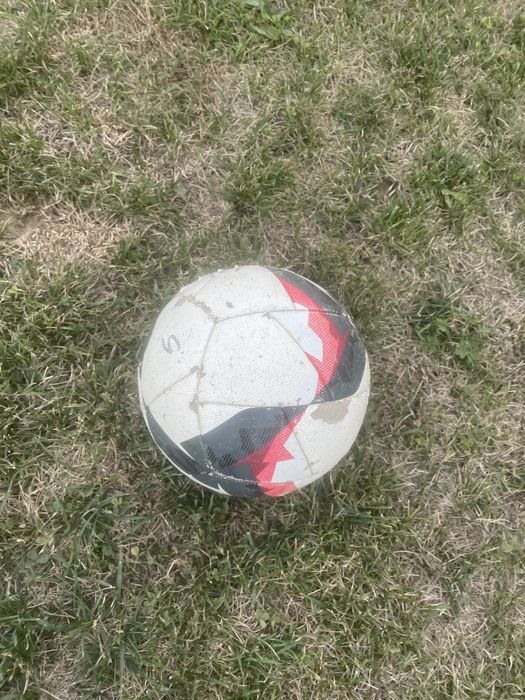 Minge kipsta de colectie