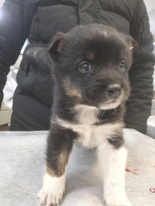 Кому? Кому? Только одному:-)