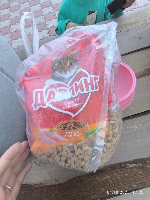 Животные , лоток ножницы