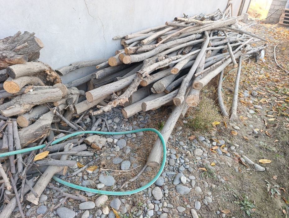 Утин сотилади хаммаси Бир ЗИЛ булади