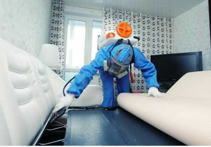 Дезинфекция Дезинсекция Dezinfeksiya Dezinseksiya (без запаха)