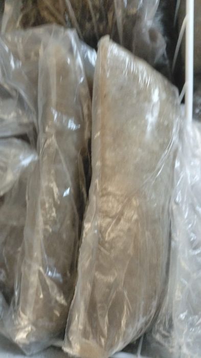 Рыба судак 2500 тн.