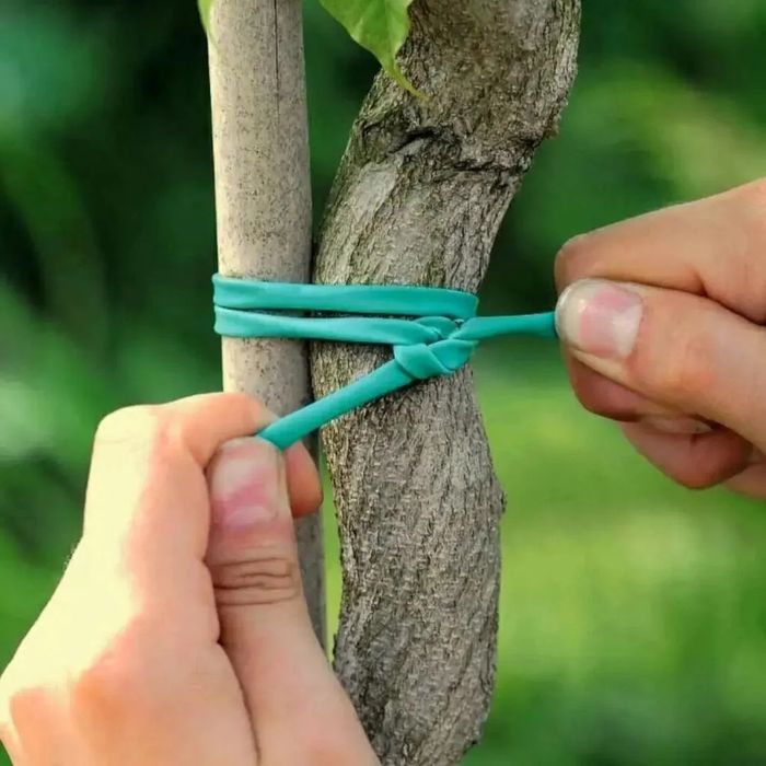 ПВХ Кембрик подвязка для саженцев, дарахт боглаш учун резинка ип