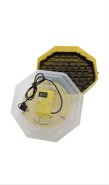 Incubator pentru oua Cleo 5DT