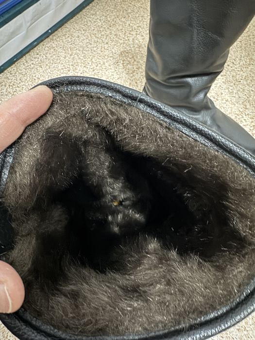 Етік көкпарға атқа