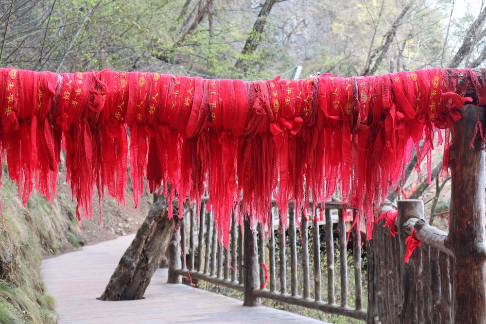 Репетитор по китайскому языку для взрослых и детей