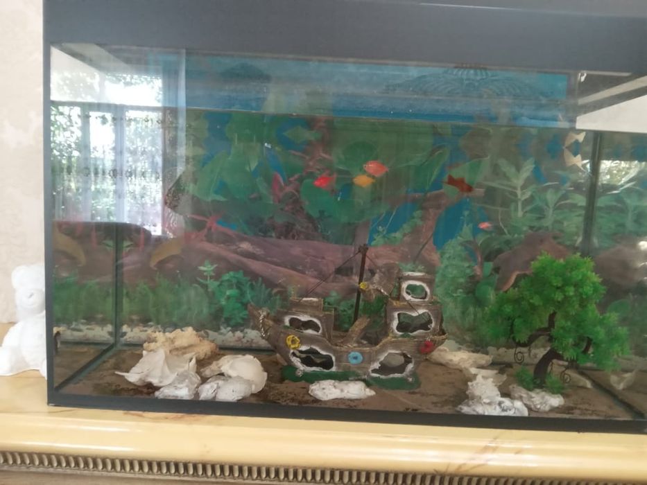 Продам аквариум с рыбками