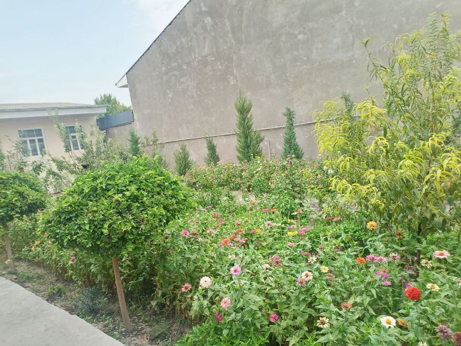 Сйргли район уй сотилади ховли зор жойда жойлашган шошлилила опколишга