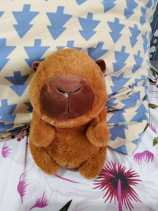 Продам  зко аксай