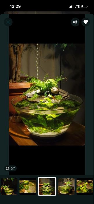 Acvariu-bol  ptr betta