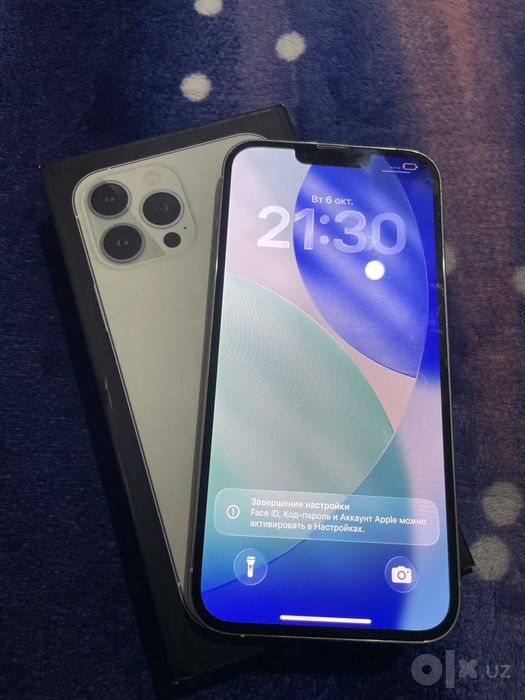 Iphone 13 pro max