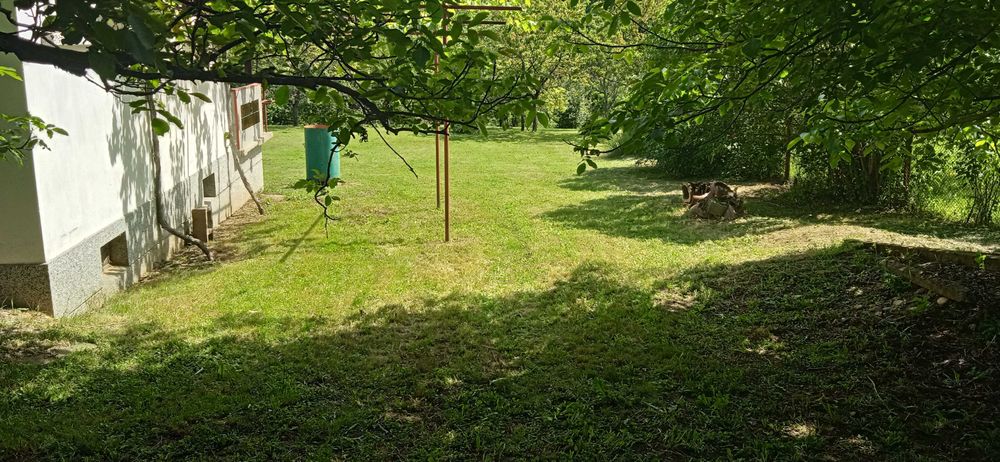 Опасни дървета рязане косене непроходима растителност почистване от-до