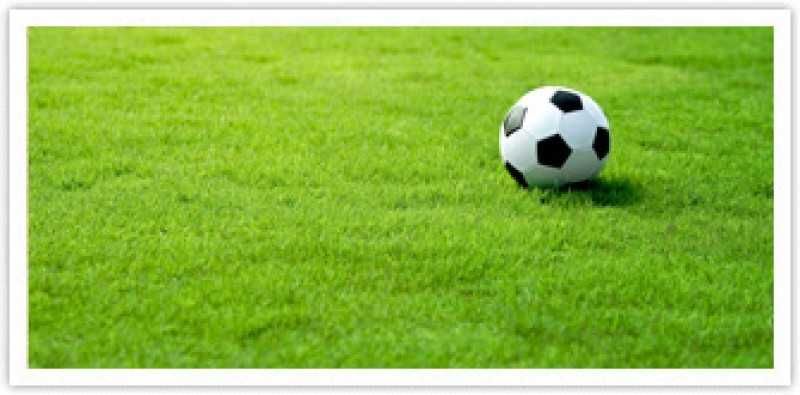 GAZON RULOU Sport - Craiova