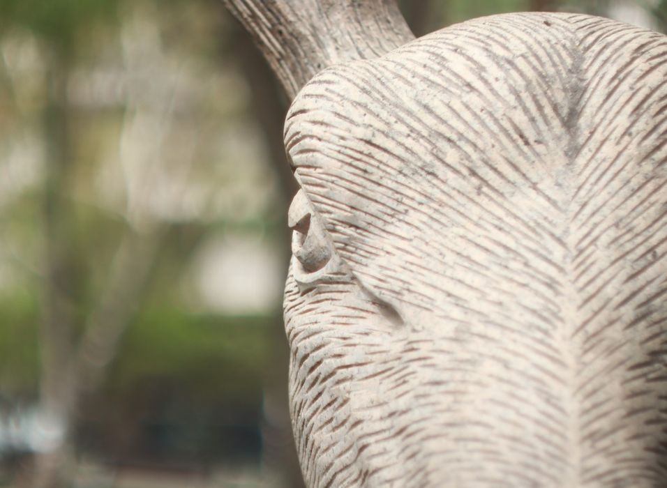 Canon EOS 850d kit +Zenitar 50mm f1.9